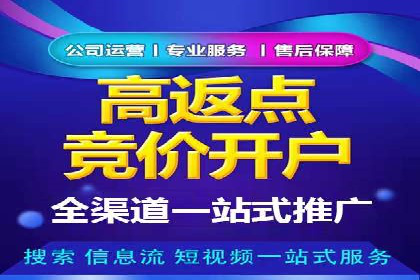 SEM广告投放策略优化：从失败到成功的转变